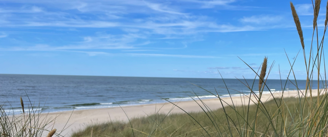 Dünen und Meer auf Sylt – Yoga-Seminar mit Nikola Knorr